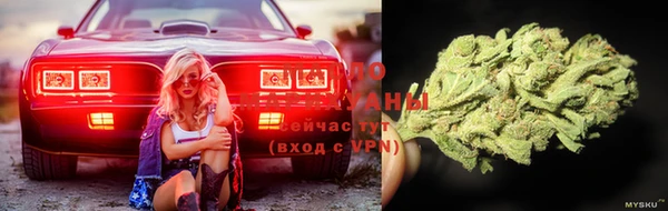 прущие крисы Алзамай